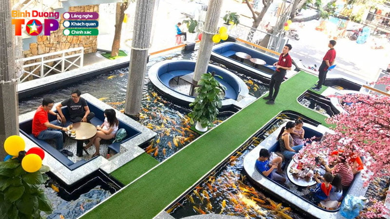 top-10-quan-cafe-ca-koi-binh-duong-dep-nhu-tranh-nen-ghe-nhat-binhduongtoplist