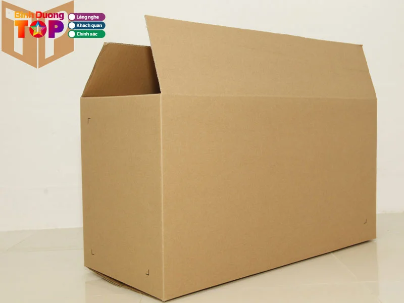 carton-tin-phat-binhduongtoplist