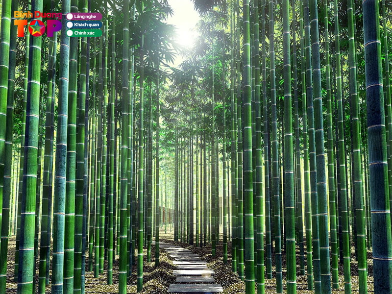 den-voi-lang-tre-phu-an-mua-nao-la-tuyet-nhat-binhduongtoplist