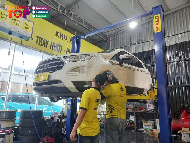 like-car-binhduongtoplist