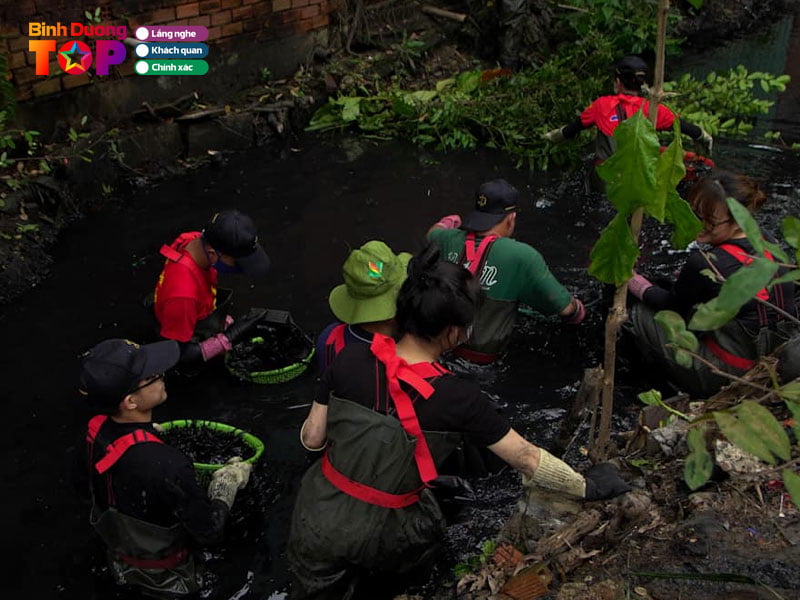 Doi-net-ve-biet-doi-binh-duong-xanh-binhduongtoplist