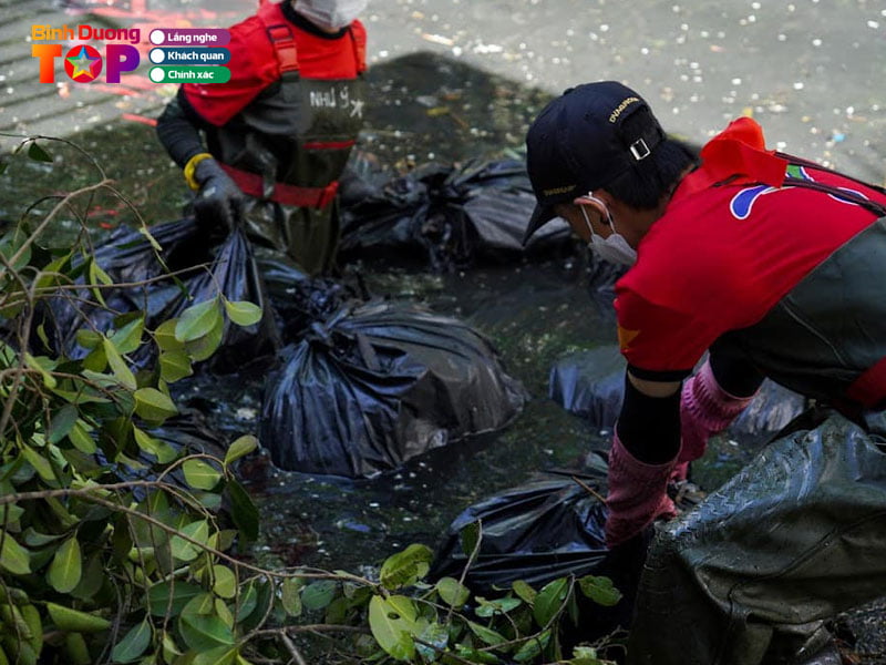 Doi-net-ve-biet-doi-binh-duong-xanh1-binhduongtoplist