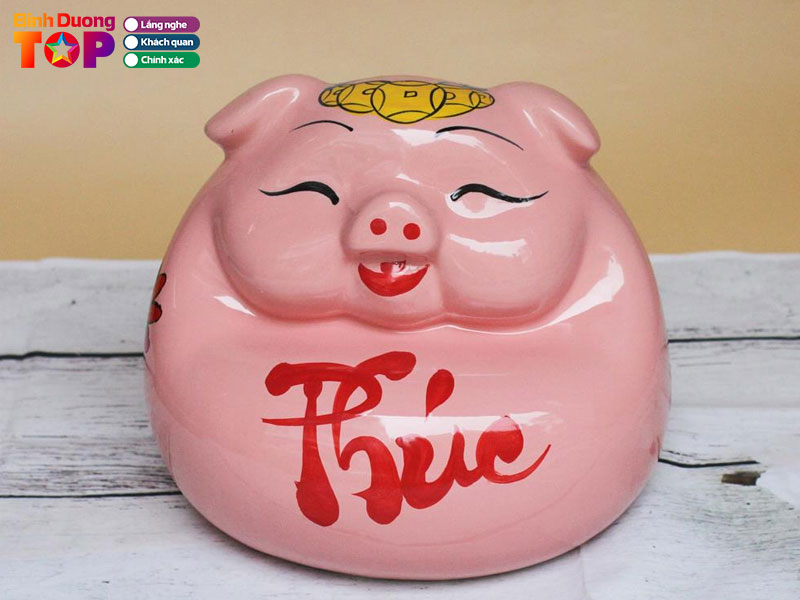 Co-so-heo-dat-thu-suong-binhduongtoplist