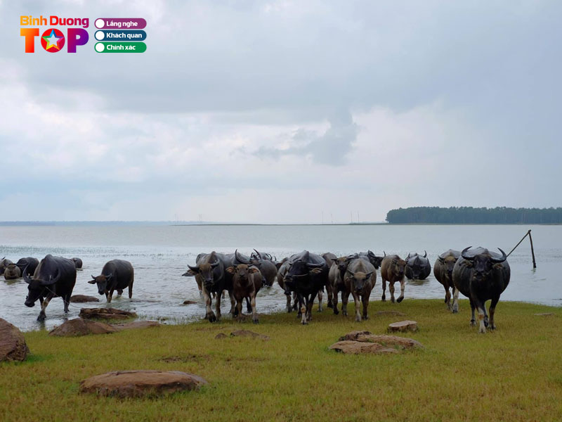 Mua-kho-tu-thang-12-den-thang-4-binhduongtoplist