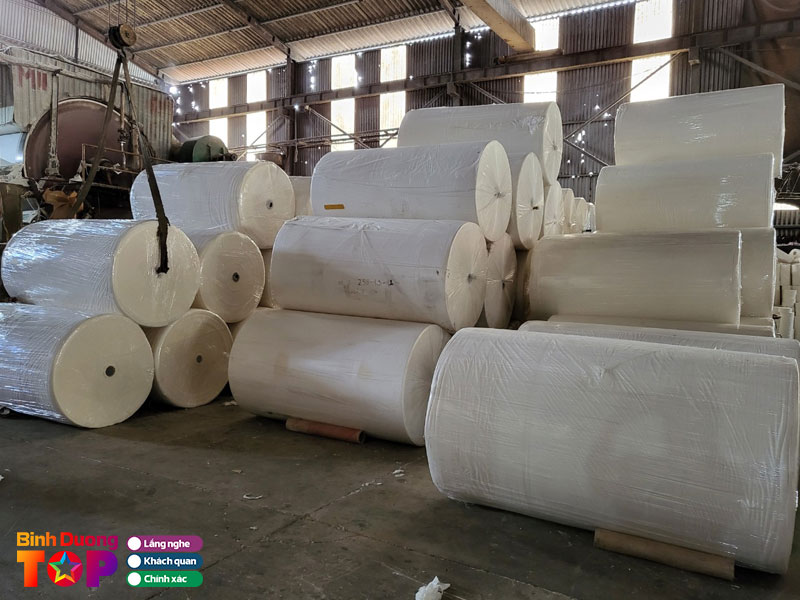 Cong-ty-tnhh-giay-cong-nghiep-binh-duong-binhduongtoplist