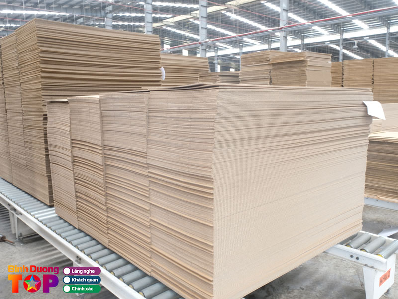 Tan-truong-phat-packaging-binhduongtoplist