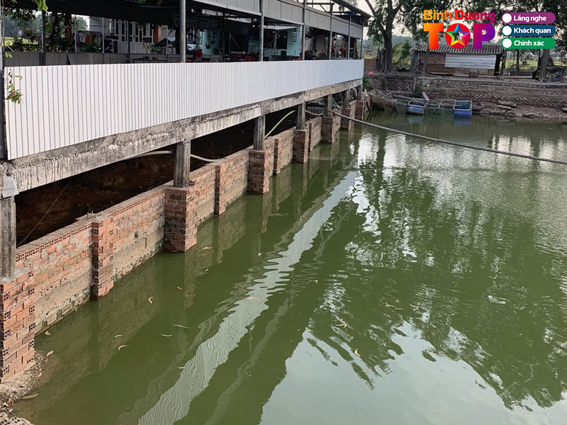 Ho-cau-cay-sung-binhduongtoplist