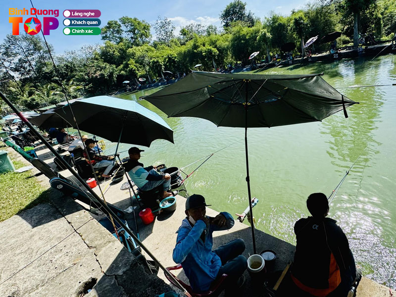 Ho-cau-dai-hoang-gia-binhduongtoplist