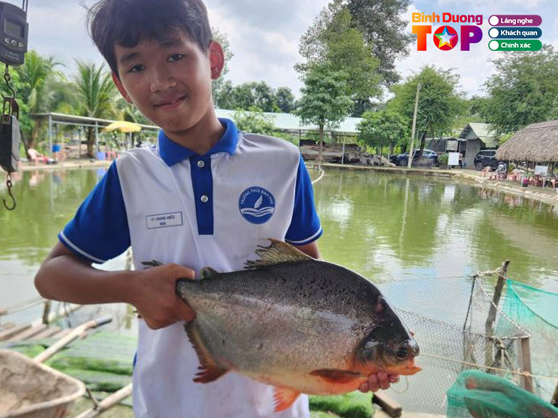 Ho-cau-tan-binhduongtoplist