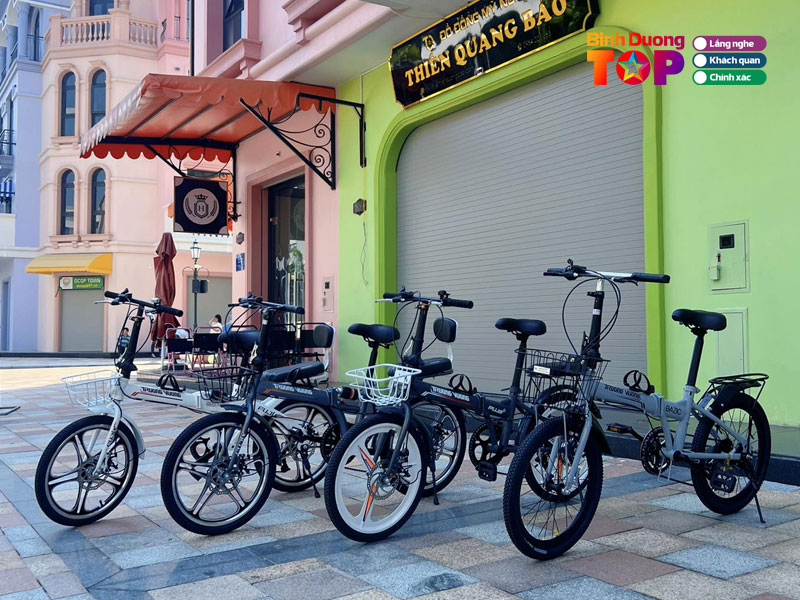 Xe-dap-gap-chinh-hang-binhduongtoplist