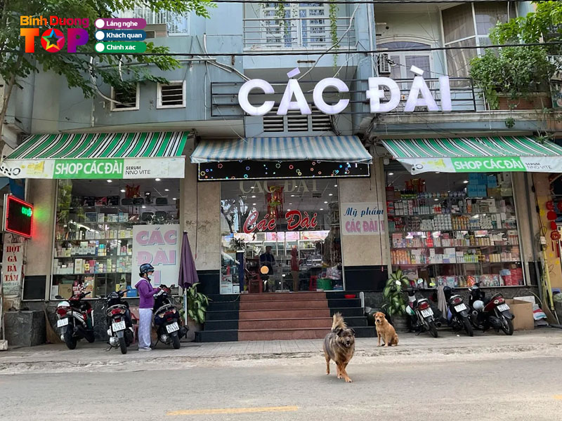 Cac-dai-cosmetic-binhduongtoplist
