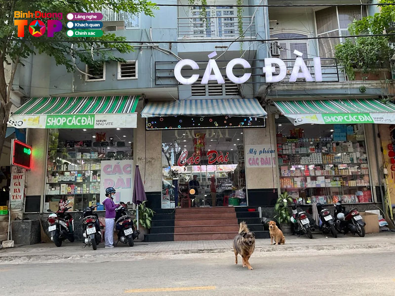 Cac-dai-cosmetic-binhduongtoplist