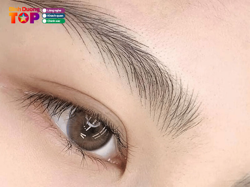 Ladys-house-binhduongtoplist