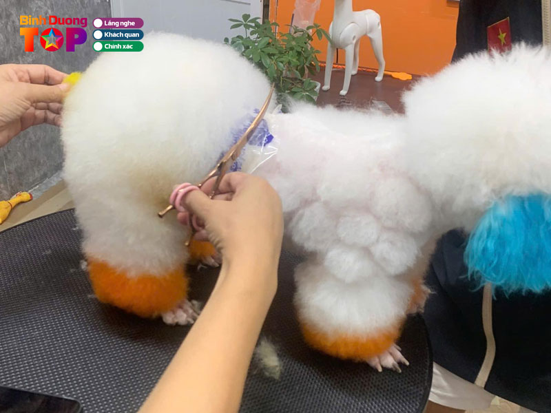 Pet-smile-binhduongtoplist
