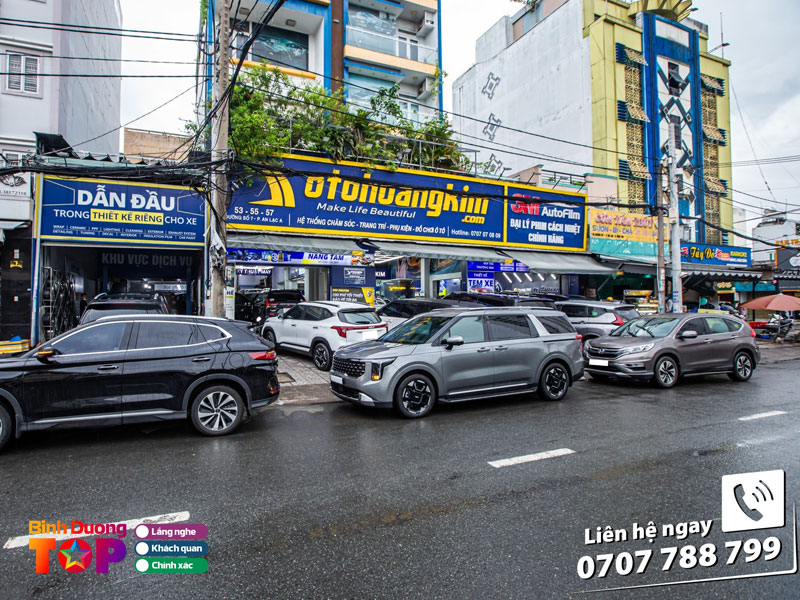 O-to-hoang-kim-binhduongtoplist