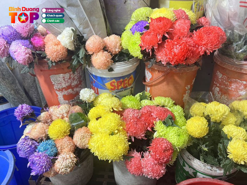 Shop-hoa-tuoi-be-nho-binhduongtoplist