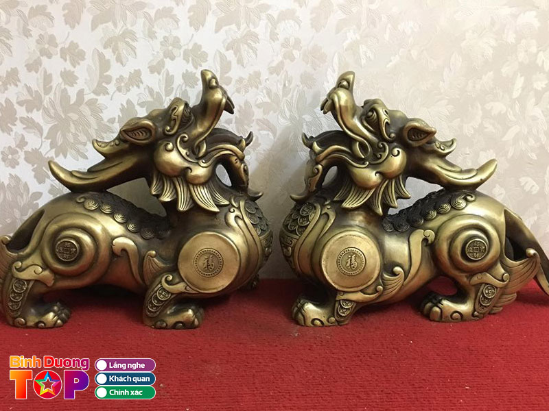 Hoa-vien-binh-duong-binhduongtoplist