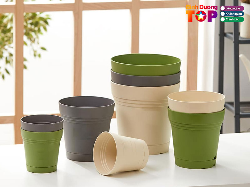 Cay-canh-binh-duong-binhduongtoplist