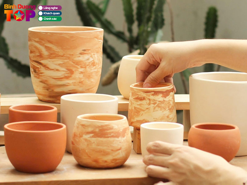 Chau-dat-nha-rom-binhduongtoplist