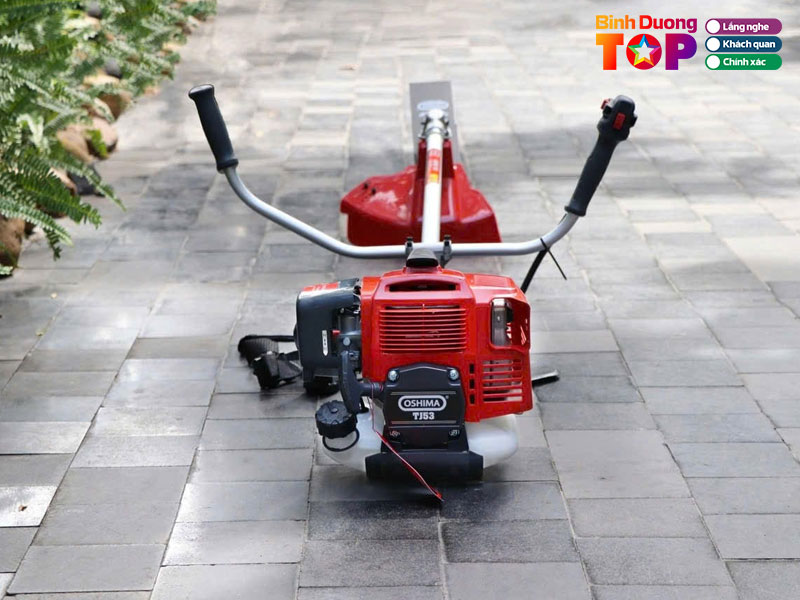 Dien-co-viet-thanh-binhduongtoplist