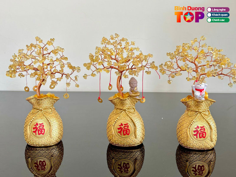 Gia-dung-thuy-hien-1-binhduongtoplist