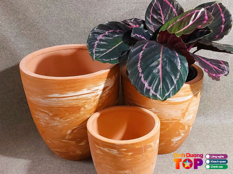 Gom-su-tu-diep-binhduongtoplist