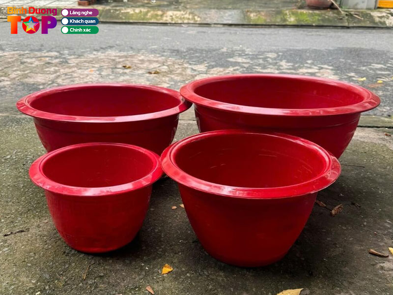 Hoa-kieng-phat-tai-binhduongtoplist