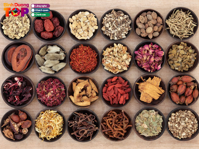Thuoc-bac-dong-hoa-duong-1-binhduongtoplist