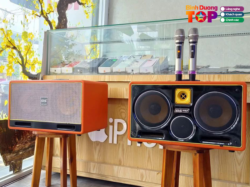 Dinh-trong-audio-binhduongtoplist