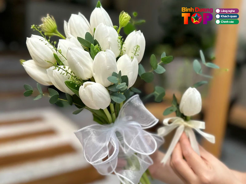 Hoa-lan-phuong-binhduongtoplist