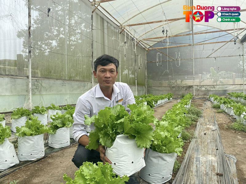 Truong-trung-cap-nong-lam-nghiep-binh-duong-binhduongtoplist