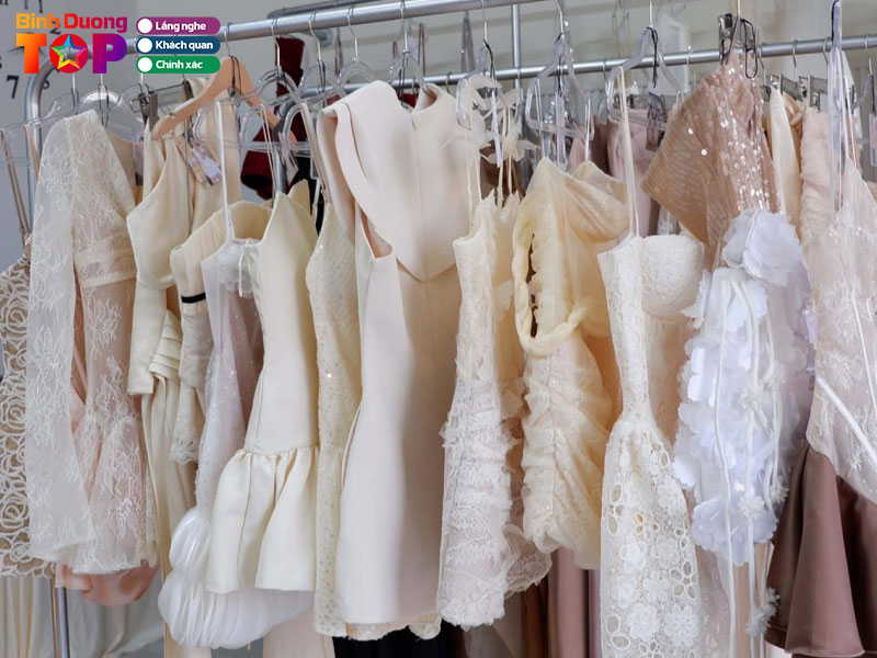 Meo-studio-1-binhduongtoplist