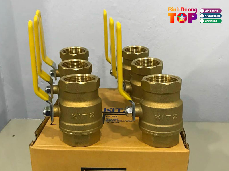 Cong-ty-tnhh-mtv-van-thanh-loan-binhduongtoplist