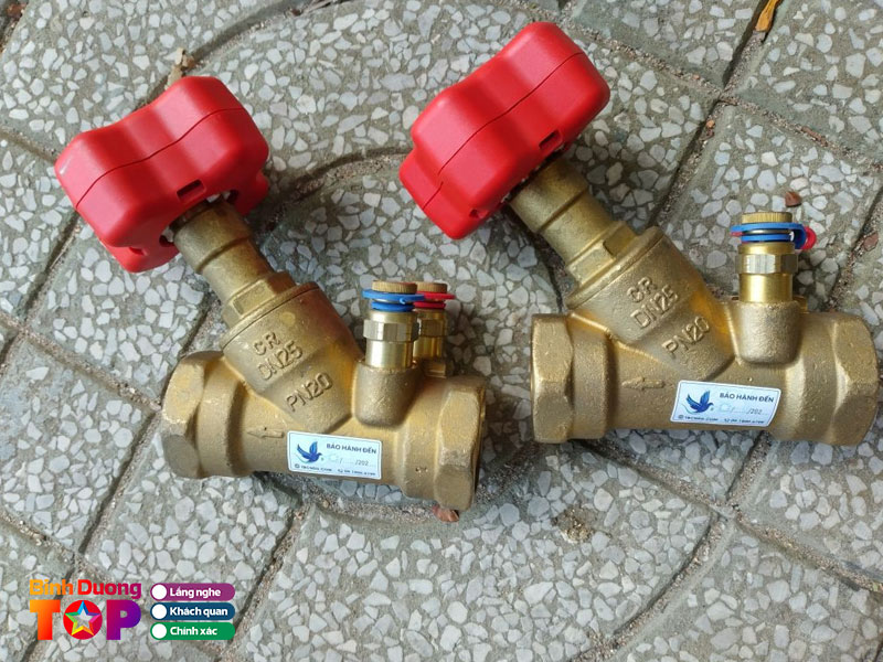 Pccc-lua-viet-binhduongtoplist
