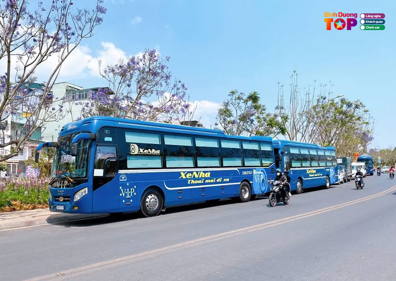 Traveloka-mang-den-nhung-lua-chon-di-chuyen-nao-binhduongtoplist