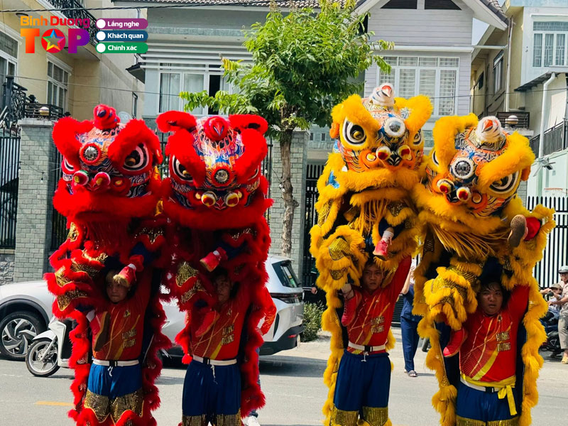 Lan-su-rong-hoang-phong-duong-binhduongtoplist