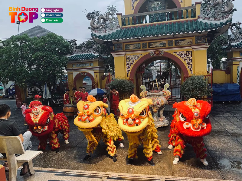 Lan-su-rong-thai-an-duong-binhduongtoplist